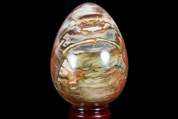 Colorful, Polished Petrified Wood Egg - Triassic #74740